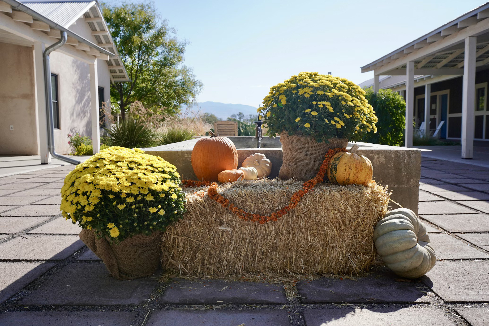 Departamento Lujosa con Jardín en Renta